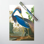 John James Audubon - Louisiana Heron Wrapping Paper Gallery Image 1