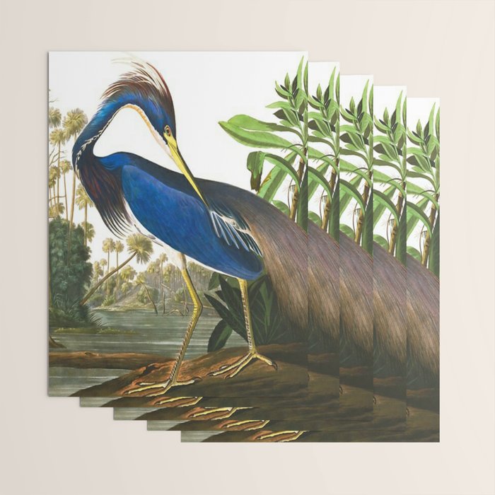 John James Audubon - Louisiana Heron Wrapping Paper Gallery Image 3