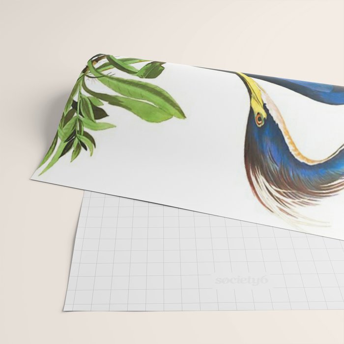 John James Audubon - Louisiana Heron Wrapping Paper Gallery Image 2