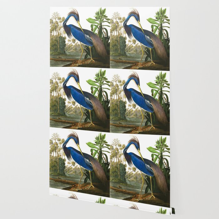 John James Audubon - Louisiana Heron Wallpaper Gallery Image 2