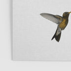 Hummingbird & Flower I Poster Gallery Image 3