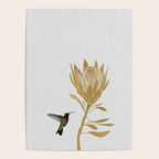 Hummingbird & Flower I Poster Gallery Image 4