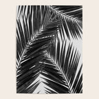 Palm Leaf Black & White III Poster Gallery Image 4