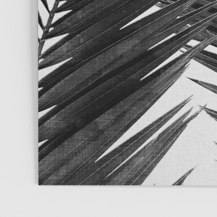 Palm Leaf Black & White III Poster Gallery Image 3