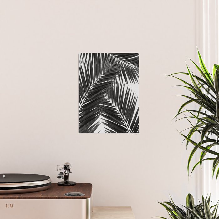 Palm Leaf Black & White III Poster Gallery Image 2