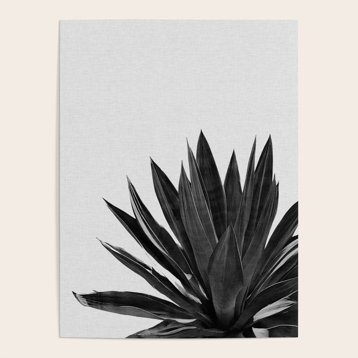 Agave Cactus Black & White Poster Gallery Image 1