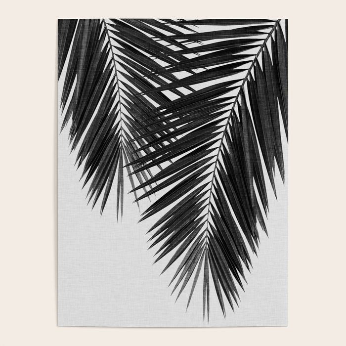 Palm Leaf Black & White II Poster Gallery Image 4