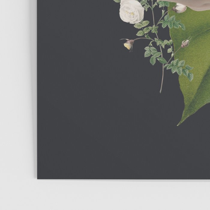 Minimal Collage/ Hand, Plants and Butterflies 6 Poster Gallery Image 3