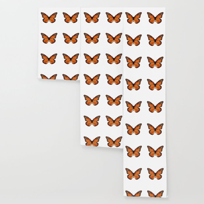 monarch butterfly Wallpaper Gallery Image 3