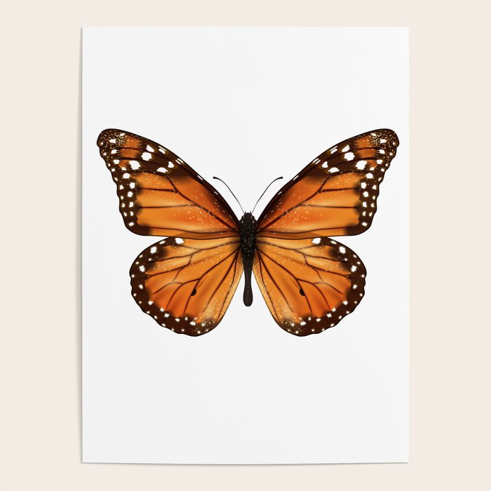 monarch butterfly Poster Gallery Image 4