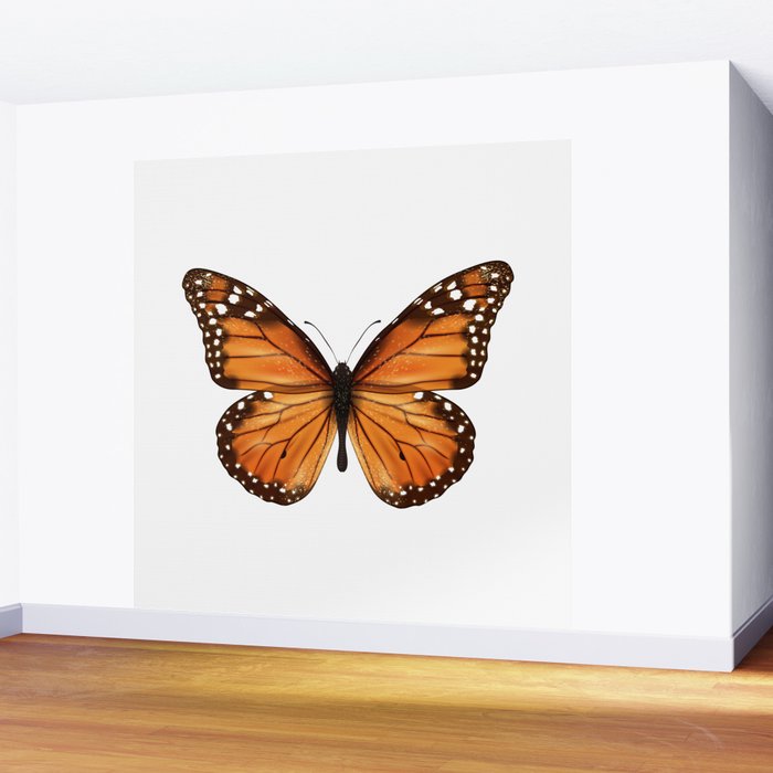 monarch butterfly Wall Mural Gallery Image 2