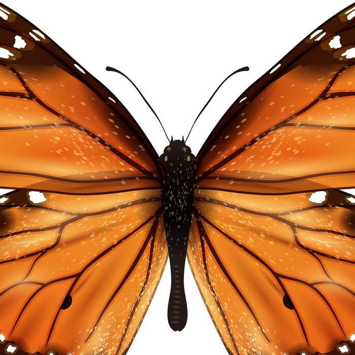 monarch butterfly Coffee Mug Gallery Image 2