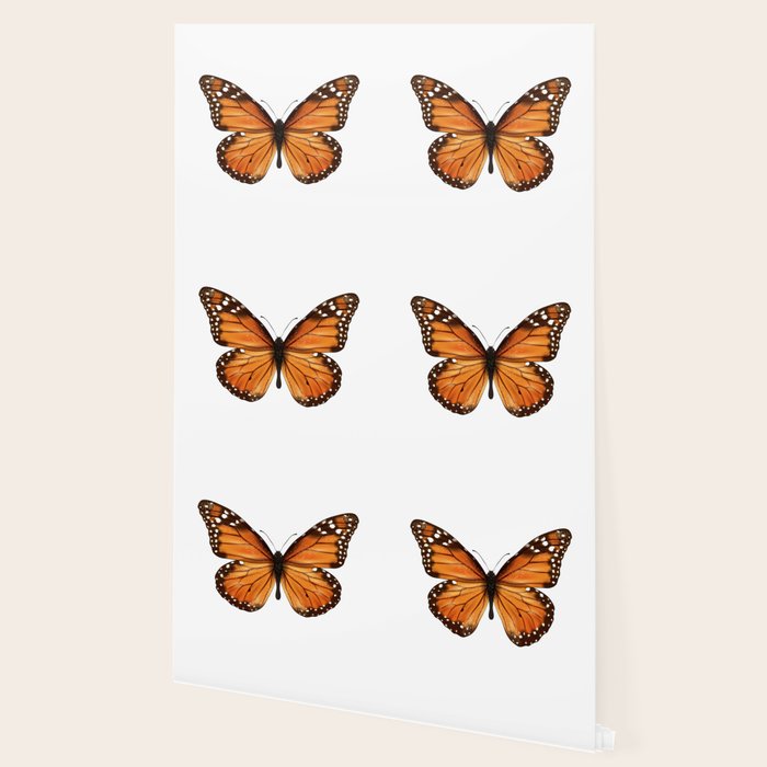 monarch butterfly Wallpaper Gallery Image 2