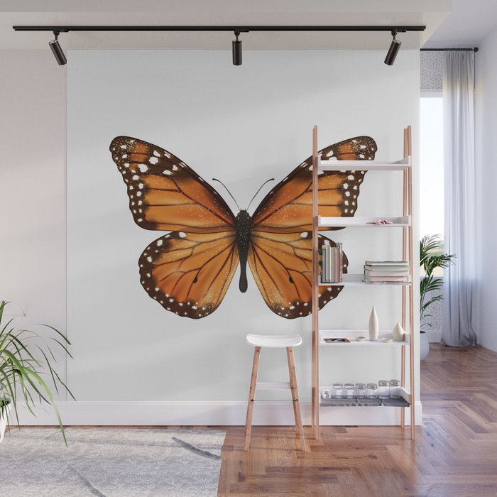 monarch butterfly Wall Mural Gallery Image 1