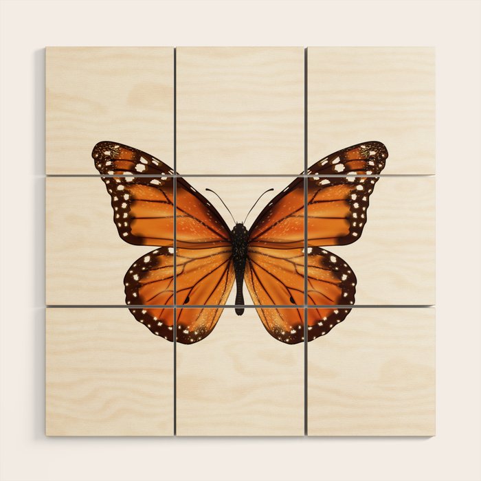 monarch butterfly Wood Wall Art Gallery Image 1