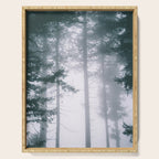 Moody Forest II Serving Tray Gallery Image 1