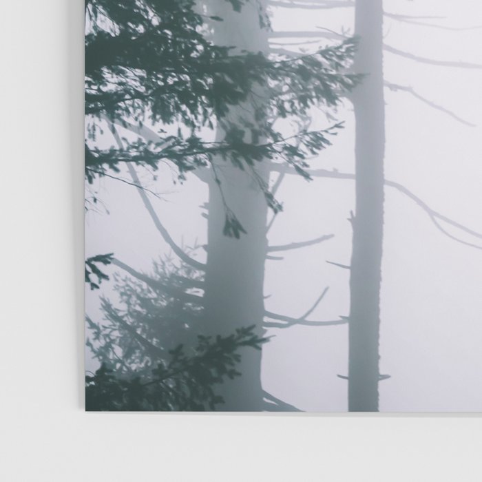 Moody Forest II Poster Gallery Image 3