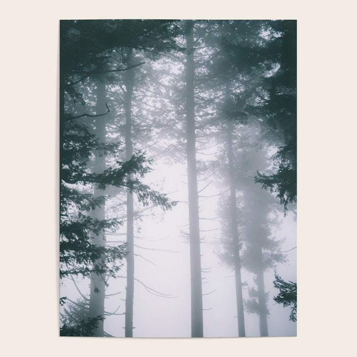 Moody Forest II Poster Gallery Image 4
