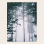 Moody Forest II Poster Gallery Image 4