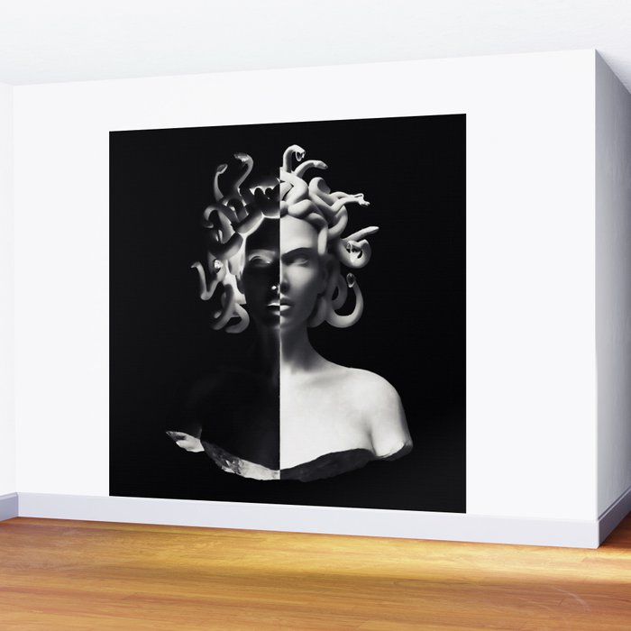 Positive-negative Medusa Wall Mural Gallery Image 2