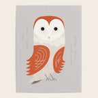 Barn Owl, Bird of United Kingdom Poster Gallery Image 4