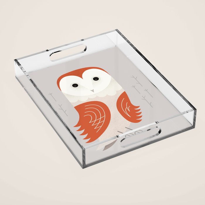 Barn Owl, Bird of United Kingdom Acrylic Tray Gallery Image 1