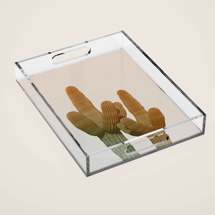 Boho Cactus Photography Acrylic Tray Gallery Image 1