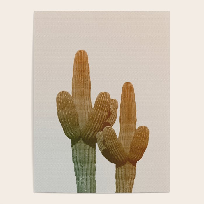 Boho Cactus Photography Poster Gallery Image 4