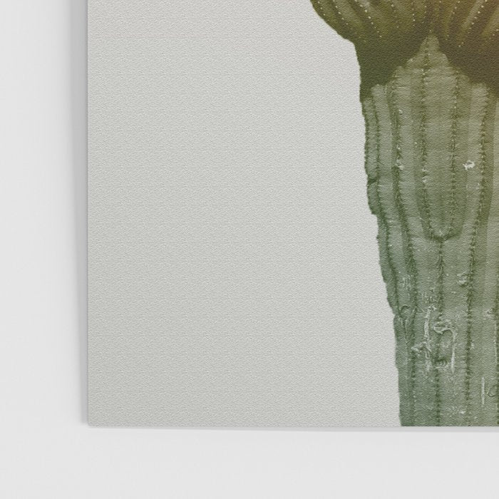 Boho Cactus Photography Poster Gallery Image 3