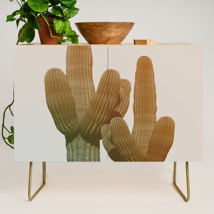 Boho Cactus Photography Credenza Gallery Image 1