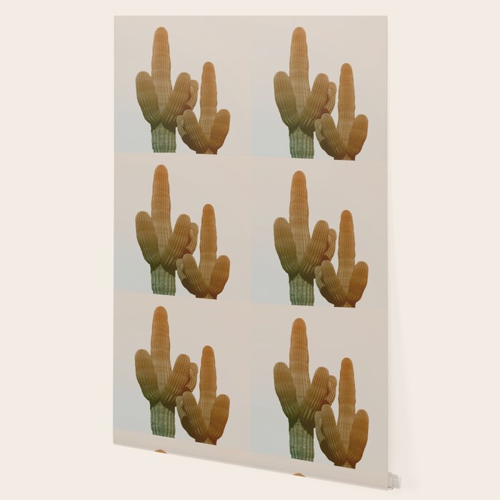 Boho Cactus Photography Wallpaper Gallery Image 2