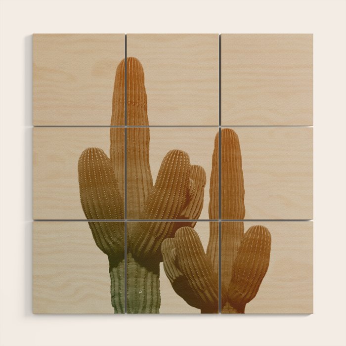 Boho Cactus Photography Wood Wall Art Gallery Image 1