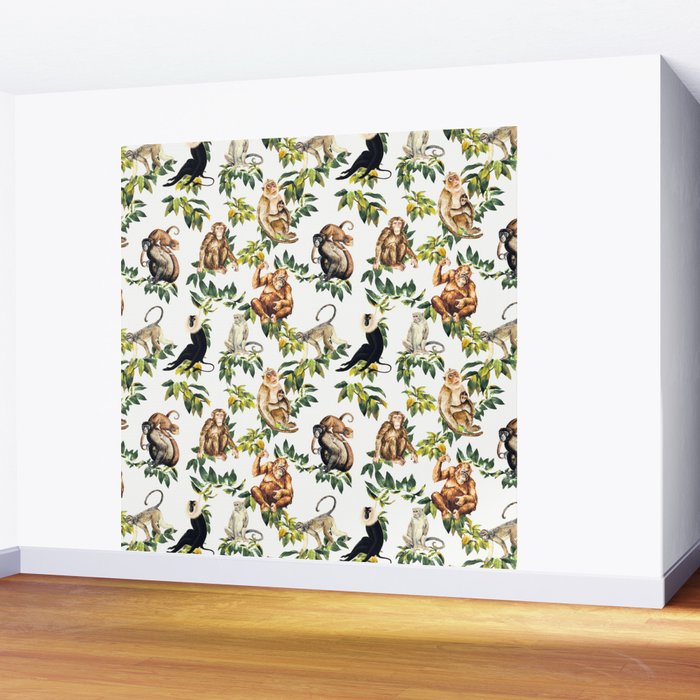 Monkeys, orangutans and more Wall Mural Gallery Image 2