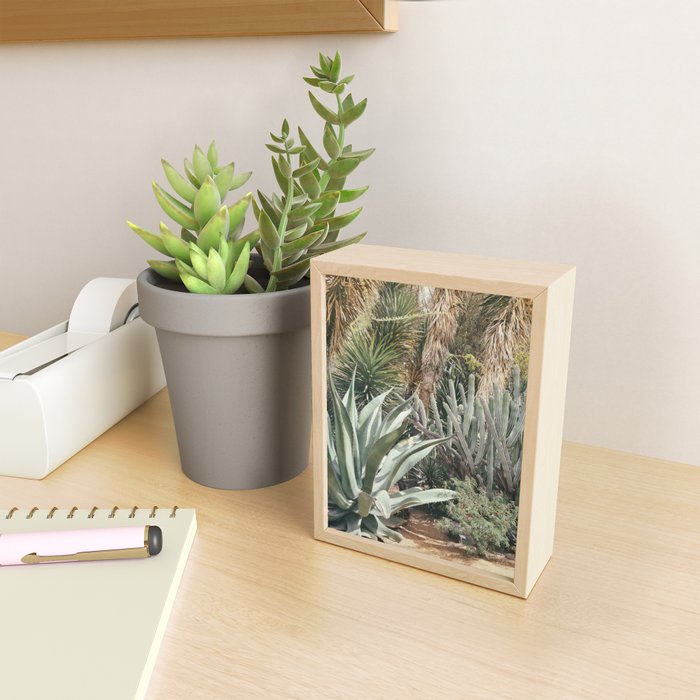 Cactus Garden #3 - Nature Photography Mini Art Print Gallery Image 2