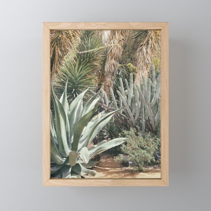 Cactus Garden #3 - Nature Photography Mini Art Print Gallery Image 1