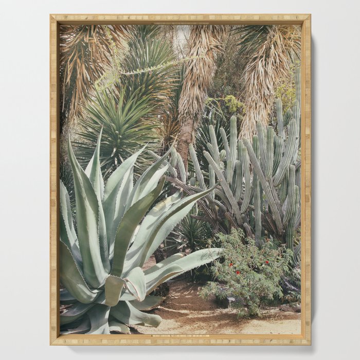 Cactus Garden #3 - Nature Photography Serving Tray Gallery Image 1