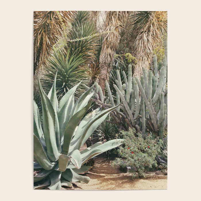 Cactus Garden #3 - Nature Photography Poster Gallery Image 4