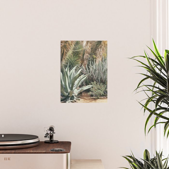 Cactus Garden #3 - Nature Photography Poster Gallery Image 2
