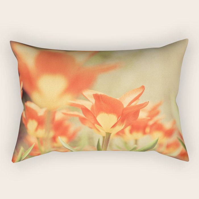 The View From Down Under Rectangular Pillow Gallery Image 2