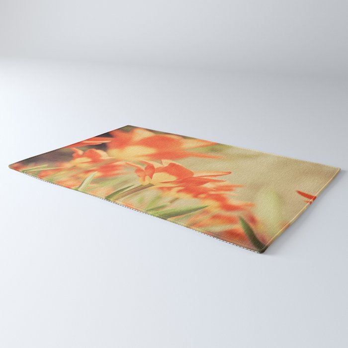 The View From Down Under Rug Gallery Image 3