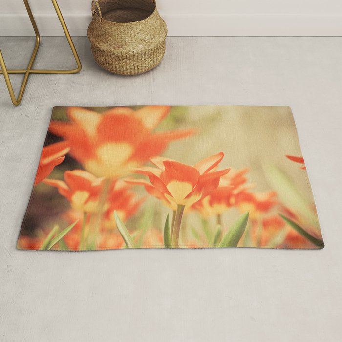 The View From Down Under Rug Gallery Image 1