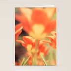 The View From Down Under Stationery Card Gallery Image 2