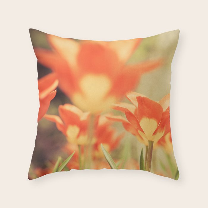 The View From Down Under Throw Pillow Gallery Image 6