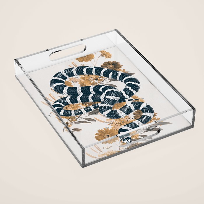 SNAKE Acrylic Tray Gallery Image 1