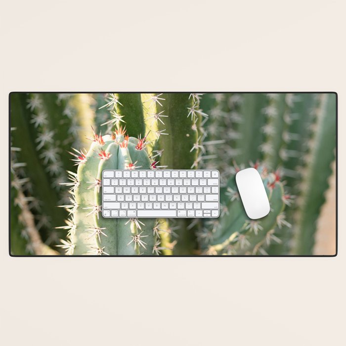 Gold & Green Cacti | Marrakech Botanical Photography Desk Mat Gallery Image 1