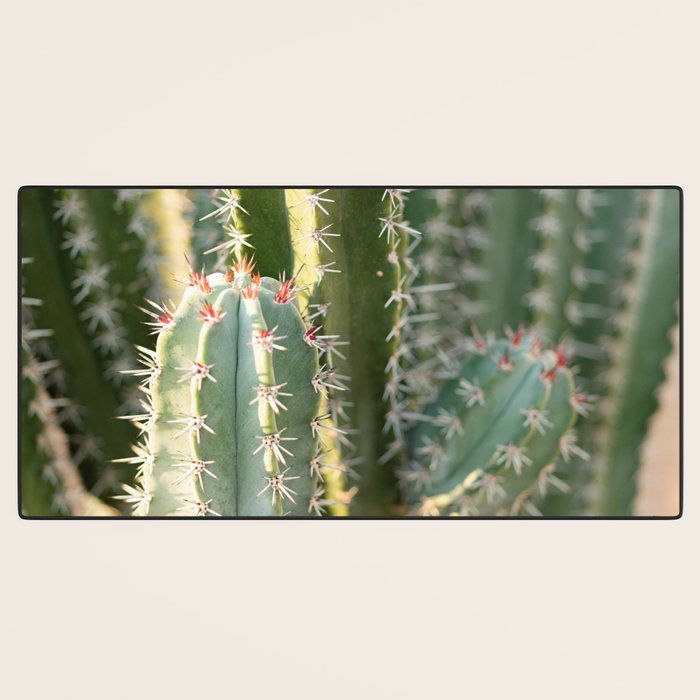 Gold & Green Cacti | Marrakech Botanical Photography Desk Mat Gallery Image 3