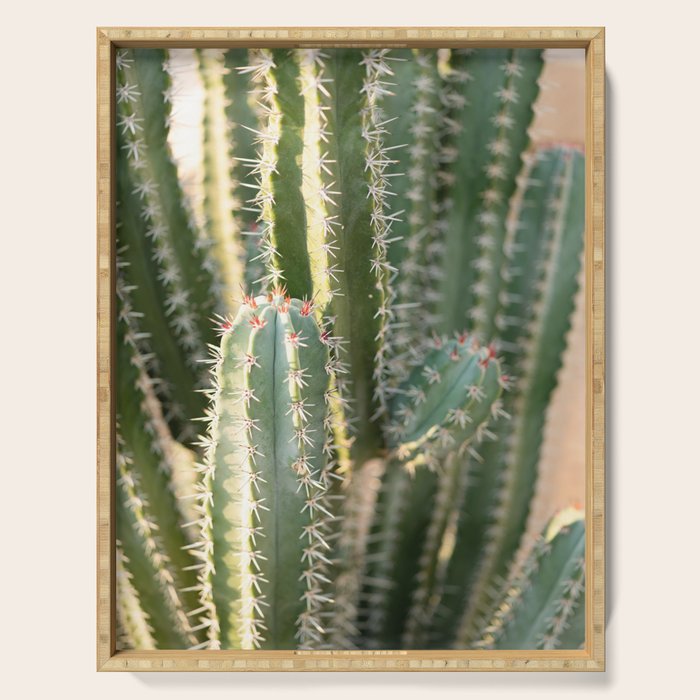 Gold & Green Cacti | Marrakech Botanical Photography Serving Tray Gallery Image 1