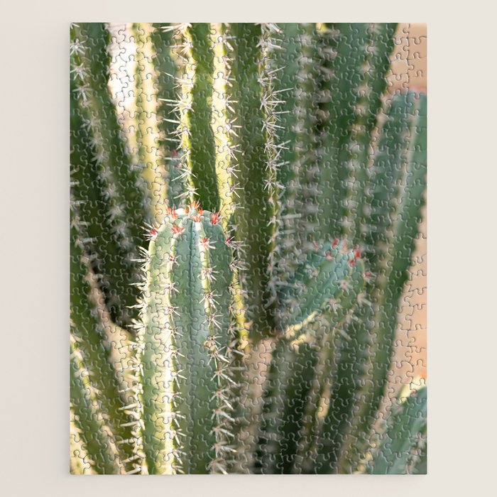 Gold & Green Cacti | Marrakech Botanical Photography Jigsaw Puzzle Gallery Image 1