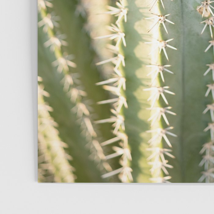 Gold & Green Cacti | Marrakech Botanical Photography Poster Gallery Image 3