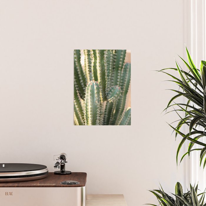 Gold & Green Cacti | Marrakech Botanical Photography Poster Gallery Image 2